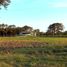  Land for sale in Exaltacion De La Cruz, Buenos Aires, Exaltacion De La Cruz