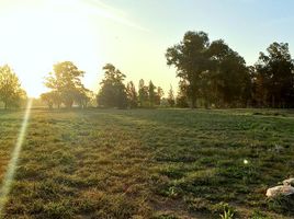  Land for sale in Exaltacion De La Cruz, Buenos Aires, Exaltacion De La Cruz
