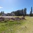  Land for sale in Confluencia, Neuquen, Confluencia