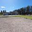  Land for sale in Neuquen, Confluencia, Neuquen