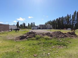  Land for sale in Neuquen, Confluencia, Neuquen