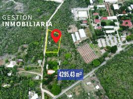  Terreno (Parcela) en venta en Yaxkukul, Yucatán, Yaxkukul, Yucatán