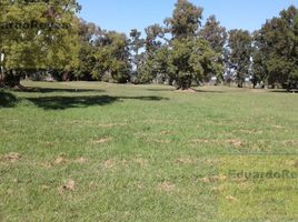  Land for sale in Caleu Caleu, La Pampa, Caleu Caleu