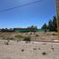  Land for sale in Confluencia, Neuquen, Confluencia