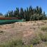  Land for sale in Confluencia, Neuquen, Confluencia