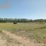  Land for sale in Neuquen, Confluencia, Neuquen