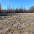  Land for sale in Neuquen, Confluencia, Neuquen