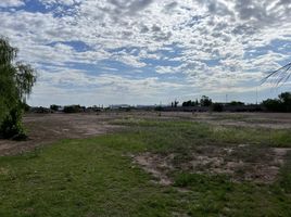  Land for sale in Maipu, Mendoza, Maipu