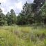  Land for sale in Singuilucan, Hidalgo, Singuilucan
