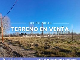  Land for sale in General Roca, Rio Negro, General Roca