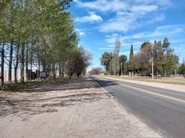  Grundstück zu verkaufen in San Rafael, Mendoza, San Rafael