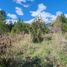  Land for sale in Rio Negro, Bariloche, Rio Negro