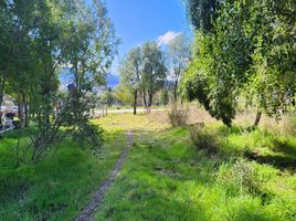  Land for sale in Rio Negro, Bariloche, Rio Negro