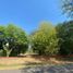  Terreno (Parcela) en venta en Pilar, Buenos Aires, Pilar