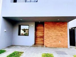 Appartement 4 chambre à vendre à Zapopan, Jalisco, Zapopan