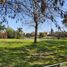  Land for sale in Tigre, Buenos Aires, Tigre