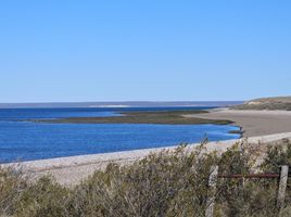  Grundstück zu verkaufen in Biedma, Chubut, Biedma