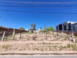  Land for sale in Confluencia, Neuquen, Confluencia