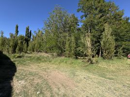  Land for sale in Confluencia, Neuquen, Confluencia