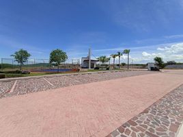  Grundstück zu verkaufen in Apaseo El Grande, Guanajuato, Apaseo El Grande