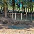  Land for sale in Neuquen, Lacar, Neuquen