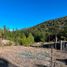  Land for sale in Neuquen, Lacar, Neuquen