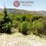  Land for sale in Chacabuco, San Luis, Chacabuco