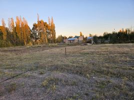  Land for sale in Confluencia, Neuquen, Confluencia