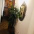 Appartement 2 chambre à vendre à General Pueyrredon, Buenos Aires, General Pueyrredon
