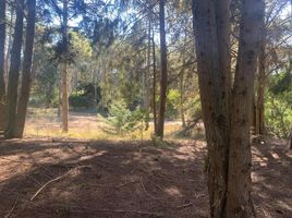  Land for sale in Pinamar, Buenos Aires, Pinamar