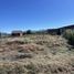  Land for sale in Futaleufu, Chubut, Futaleufu