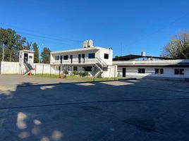 Studio Haus zu vermieten in Nueve De Julio, Buenos Aires, Nueve De Julio