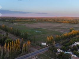  Land for sale in General Roca, Rio Negro, General Roca