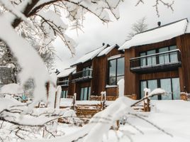 1 Schlafzimmer Wohnung zu verkaufen in Lacar, Neuquen, Lacar, Neuquen