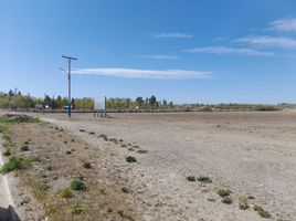  Terreno (Parcela) en venta en Rio Negro, General Roca, Rio Negro