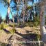  Land for sale in Neuquen, Los Lagos, Neuquen