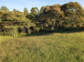  Terreno (Parcela) en venta en La Ceja, Antioquia, La Ceja