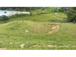  Land for sale in San Vicente, Antioquia, San Vicente