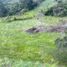  Land for sale in San Vicente, Antioquia, San Vicente