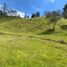  Land for sale in San Vicente, Antioquia, San Vicente