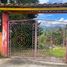  Land for sale in San Vicente, Antioquia, San Vicente