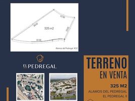 Terrain à vendre à San Luis Potosi, San Luis Potosi, San Luis Potosi, San Luis Potosi