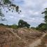  Land for sale in Merida, Yucatan, Merida, Yucatan