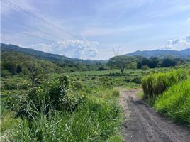  Land for sale in Palestina, Caldas, Palestina