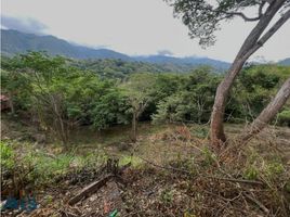  Terreno (Parcela) en venta en San Jeronimo, Antioquia, San Jeronimo