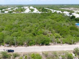  Grundstück zu verkaufen in Conkal, Yucatan, Conkal