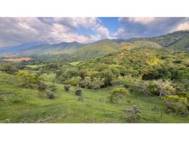  Land for sale in Palmira, Valle Del Cauca, Palmira