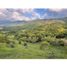  Land for sale in Palmira, Valle Del Cauca, Palmira