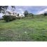  Land for sale in Palmira, Valle Del Cauca, Palmira