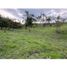  Land for sale in Palmira, Valle Del Cauca, Palmira